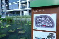 Coco Palms (D18), Condominium #167727522